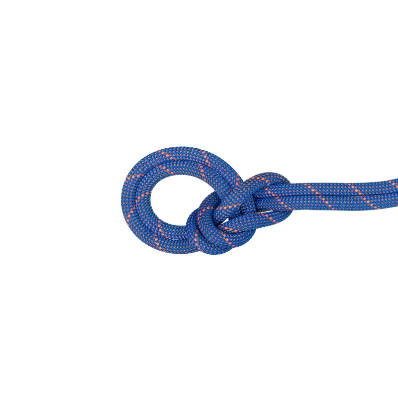 Mammut 9.0mm Crag Sender Climbing Rope Dry Ice 60m