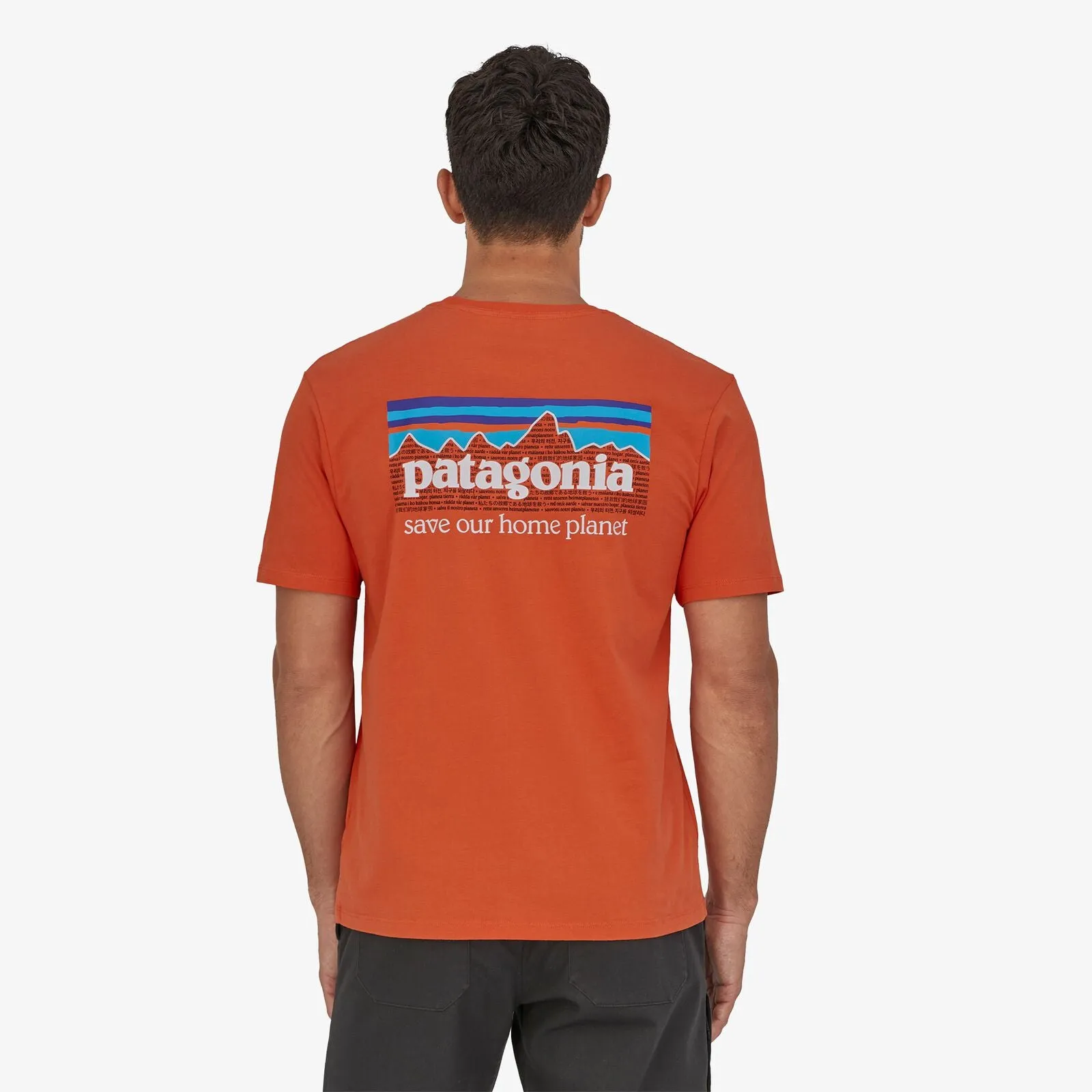 Patagonia Men's P-6 Mission Organic T-Shirt - Patagonia Logo Tee Shirt