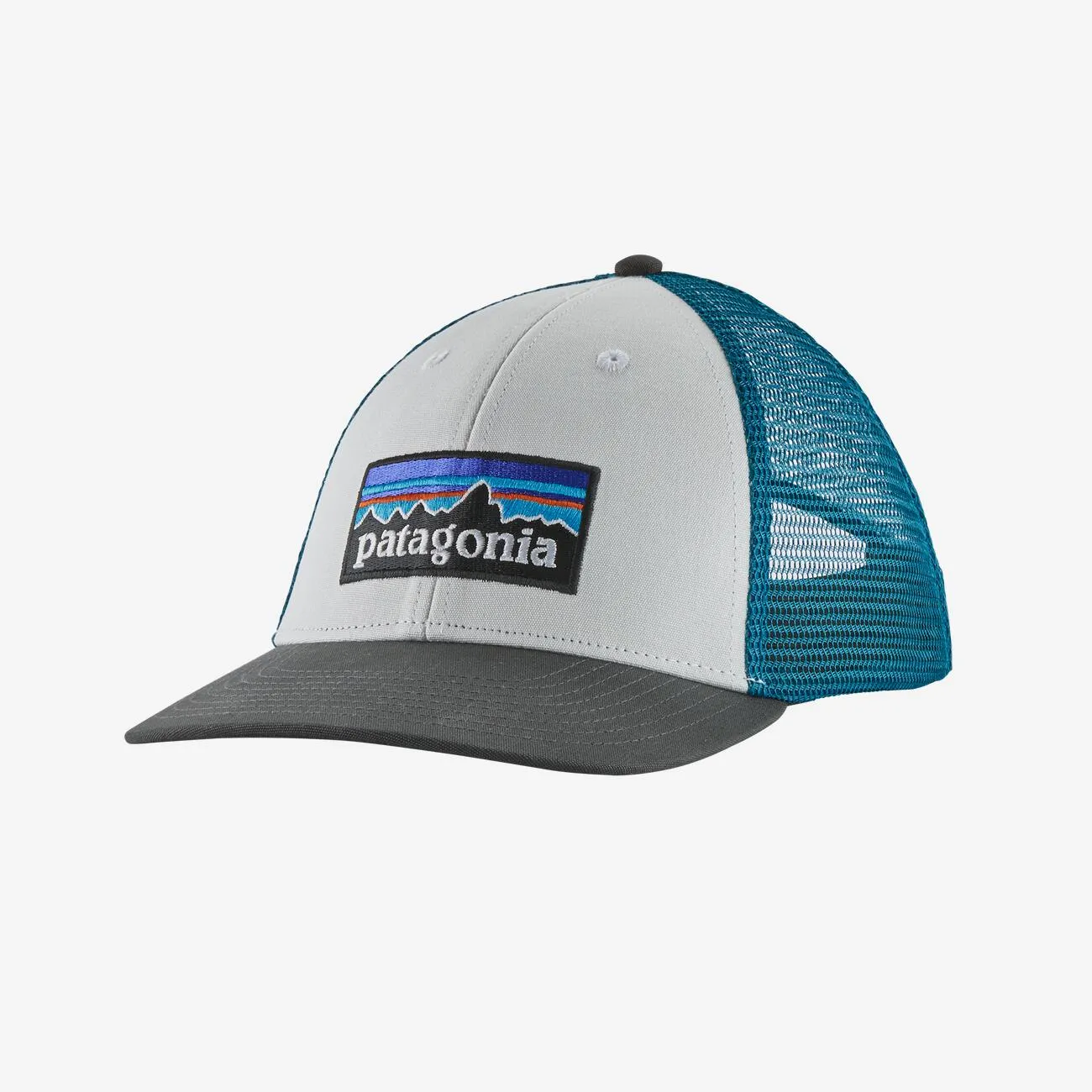 Patagonia P-6 Logo LoPro Trucker Hat