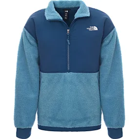 The North Face Men's Blue Platte Sherpa 1/4 Fleece