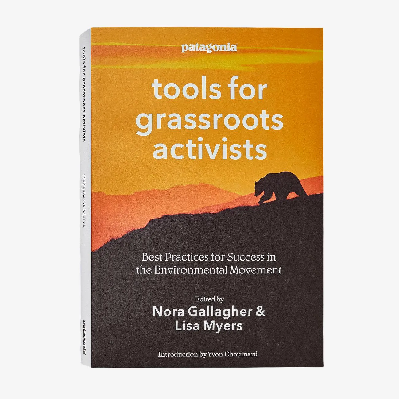 Tools For Grass Roots Activists - Wisdom & advice from Patagonia